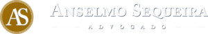 logo hero2